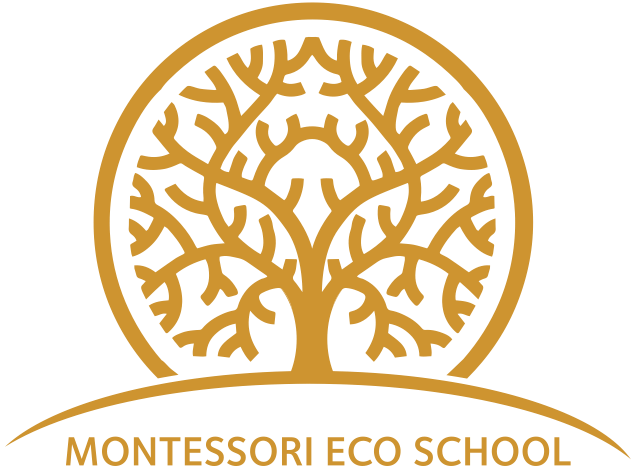 Montessori Eco School